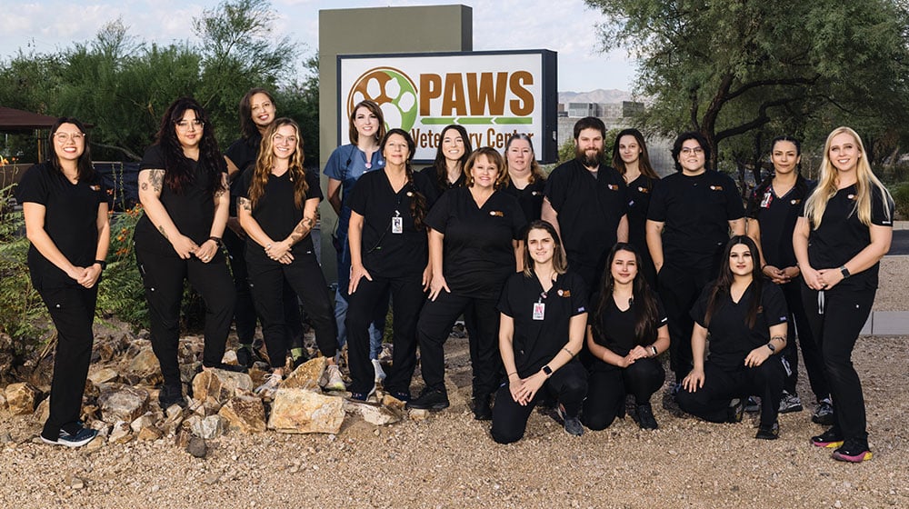 A group of nineteen vets in black uniforms stands and kneels before a sign reading "PAWS Veterinary Center." They are outdoors, with trees and a rocky landscape adding to the picturesque backdrop.