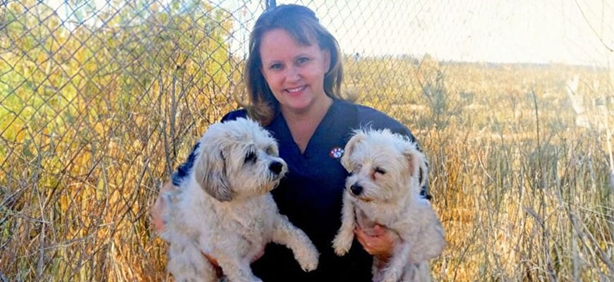 A veterinarian stands outdoors in front of a fence, gently holding two fluffy white dogs. The background showcases lush grass and trees under a clear sky.