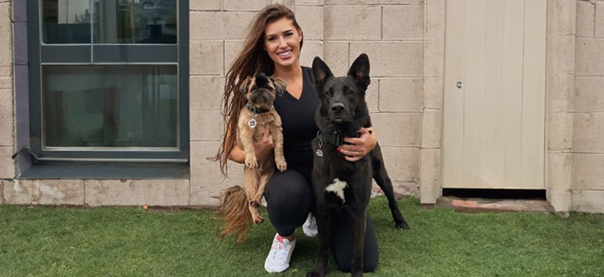 A person squatting on the grass, perhaps a veterinarian, cradles a small brown dog with long ears and a larger black dog with a white chest patch. A building with a window and door stands in the background.