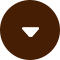 A brown circle with a white, downward-pointing triangle in the center resembles an arrow or play button, reminiscent of signals often found in a veterinarian's toolkit for directing pet care efficiently.