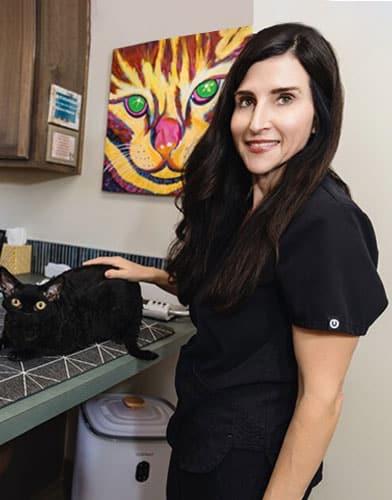 A woman with long dark hair, wearing black scrubs, stands beside a black cat on a counter. A colorful painting of a cat hangs on the wall behind them. The setting appears to be a veterinary clinic.