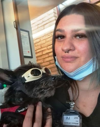 A person with dark hair, wearing a face mask under their chin, holds a small dog. The dog, dressed in protective goggles and a harness, seems relaxed as they sit indoors. A vet certificate proudly adorns the wall in the background.