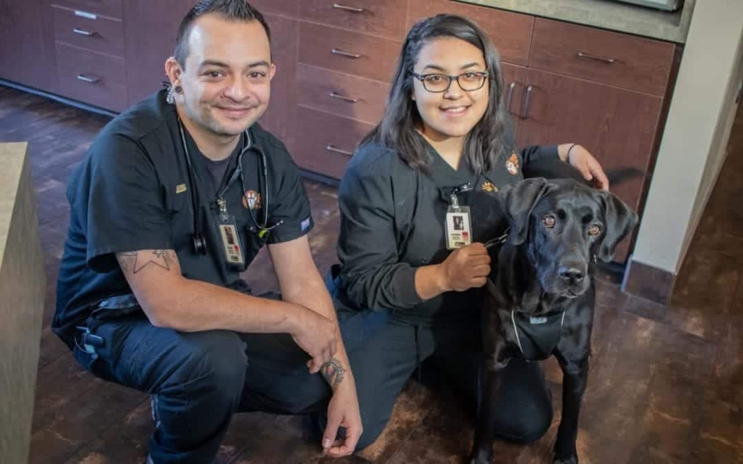 Two people in black uniforms kneel beside a black Labrador clad in a vest. They are smiling inside a room with wooden cabinets and flooring, each with an ID badge around their neck. The scene could easily be mistaken for a vet's office.