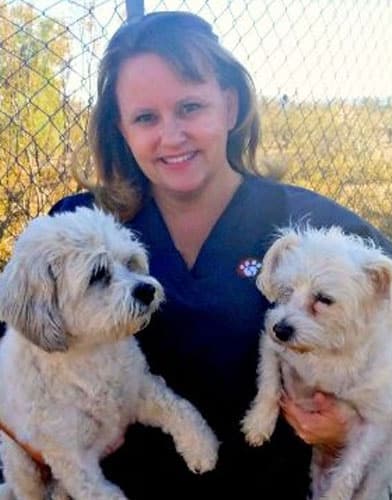 A person, possibly a veterinarian, is smiling while holding two small, fluffy dogs. They stand outdoors in front of a chain-link fence and trees, wearing a dark top. The dogs appear relaxed and content in their arms.