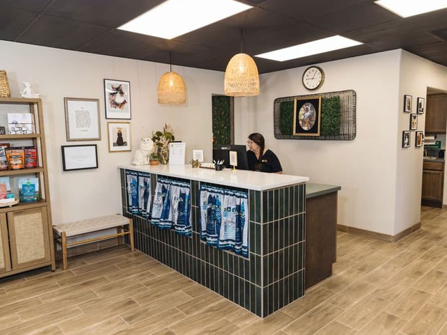 A woman working at a reception desk in a modern veterinary clinic. The desk boasts decorative elements, and walls display framed art of animals. Wooden shelves on the left hold various pet care items. Two woven pendant lights hang from the ceiling, casting a warm glow.
