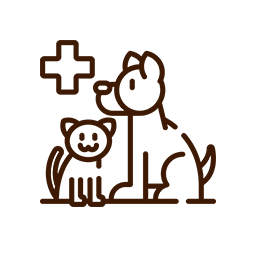 Line art of a dog and cat sitting together with a medical cross symbol above them, suggesting veterinary care. The simple illustration, crafted with clean lines on a plain background, highlights the essential role of a vet in ensuring the health and happiness of our furry companions.