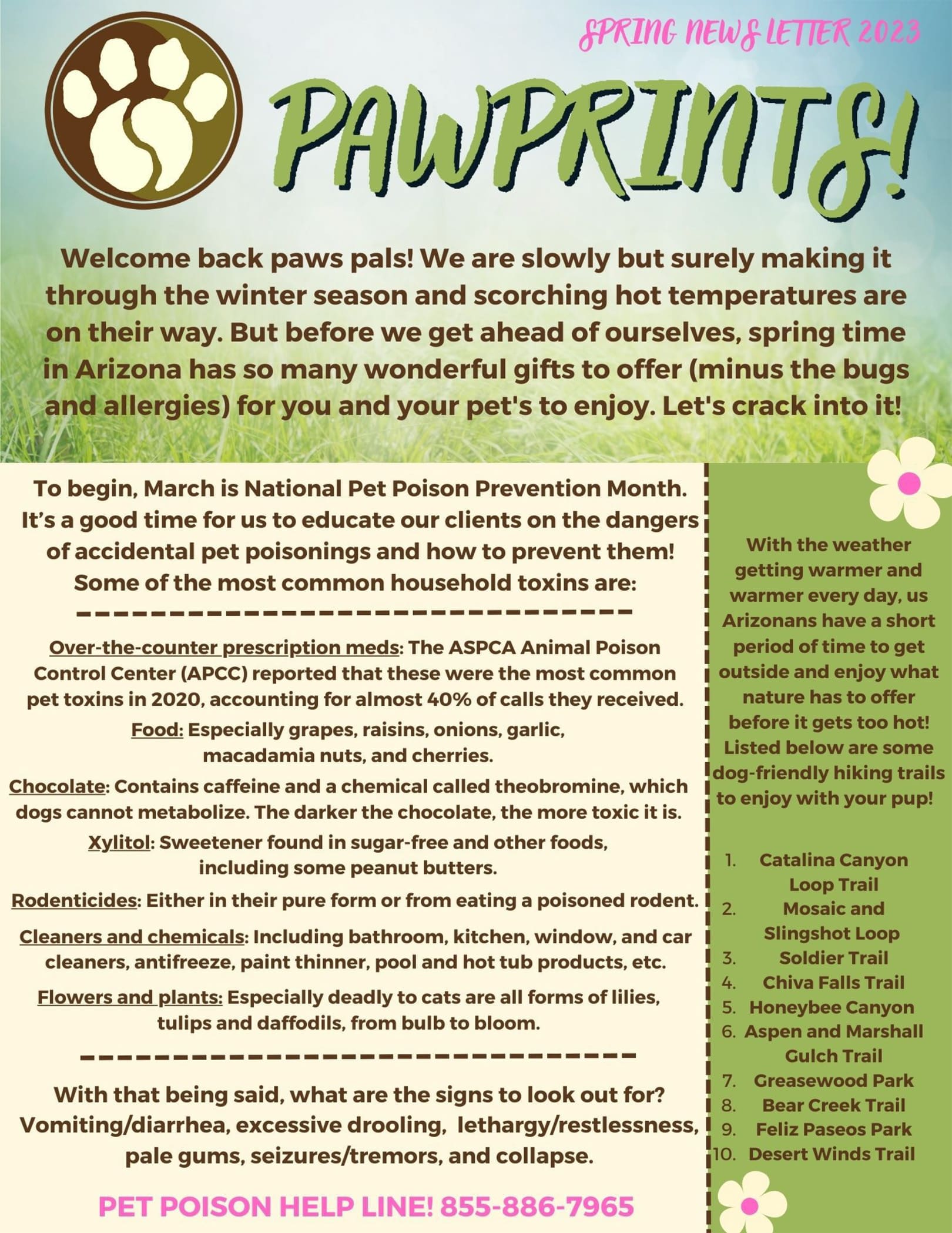 Spring newsletter titled 'Pawprints'. Features a dog paw graphic, a vet's message on pet safety, over-the-counter poison prevention tips, and top Arizona spring hikes. Contact the veterinarian helpline for any pet poisoning emergencies.