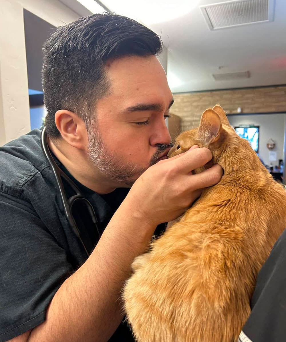 A veterinarian with a stethoscope gently kisses an orange cat on its head in a warm, indoor setting. The cat is cradled in the vet's hands, and the atmosphere is affectionate and caring.