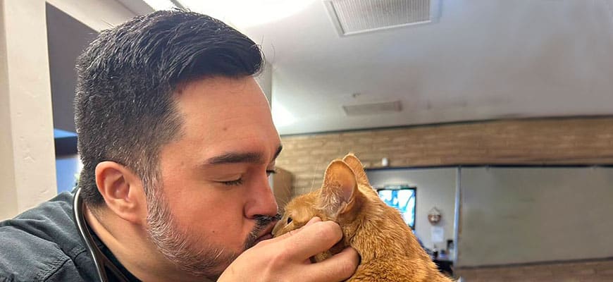 A man with short dark hair and a beard, looking every bit the caring veterinarian, gently kisses an orange cat he is cradling in his hand. The background reveals a blurred room with beige walls and a painting.