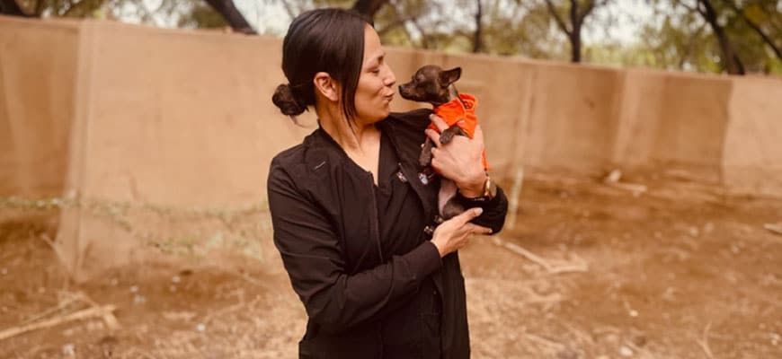 A woman wearing black, possibly a veterinarian on break, holds a small dog dressed in an orange outfit. They are outside, with a concrete wall and trees in the background. The woman is smiling at the dog.