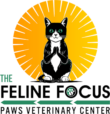 Logo for The Feline Focus Paws Veterinary Center featuring a black and white cat sitting upright with front paws together. The background is a stylized yellow sunburst, embodying the expertise of our skilled veterinarians. Text below reads "The Feline Focus Paws Veterinary Center.