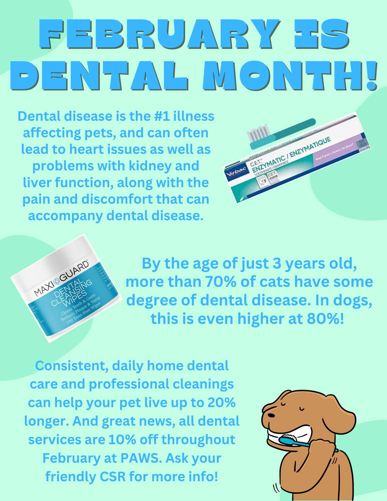 Illustration promoting February as Dental Month, highlighting dental disease in pets. Features toothpaste, gum gel, and a cartoon dog brushing teeth. Text details dental disease prevalence, benefits of dental care, and discounts on services at PAWS.