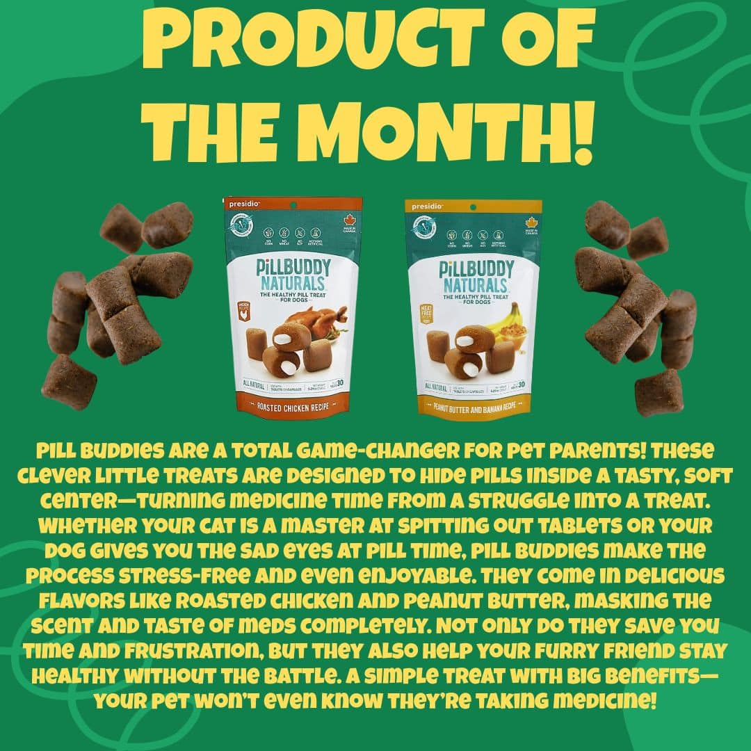 Three packages of Open Farm Gently Cooked Food for dogs are displayed above text describing it as a healthy, human-grade pet food. The packages are labeled Gently Cooked Beef, Turkey, and Chicken recipes.