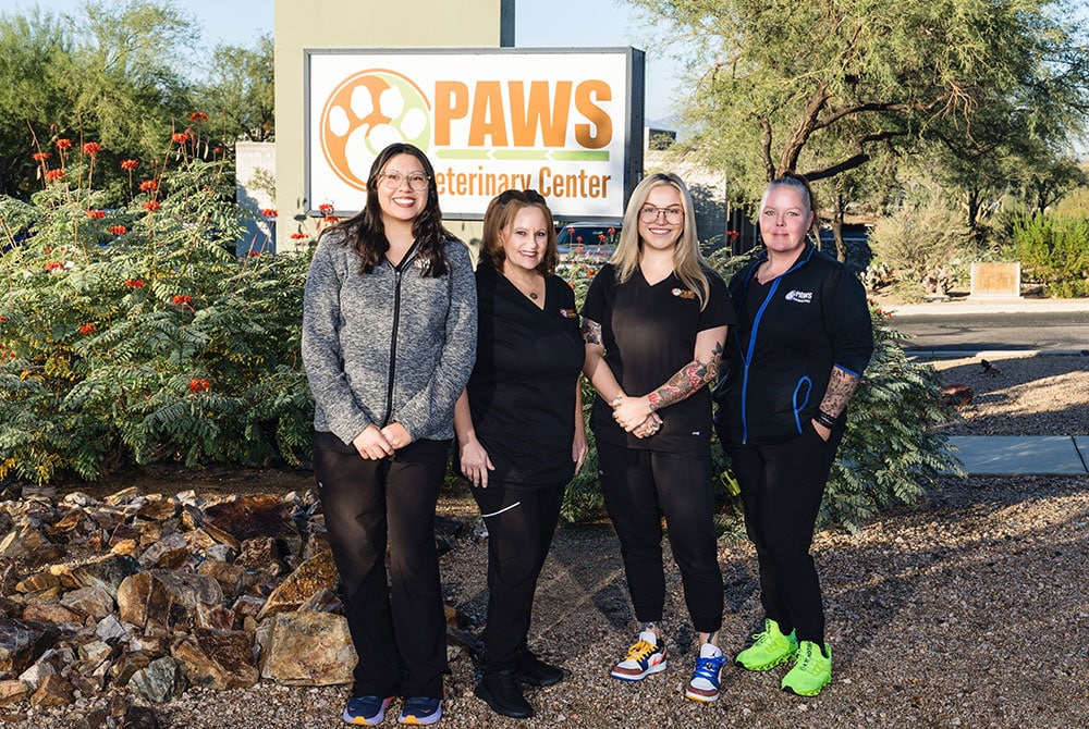 Four women stand smiling in front of a PAWS Veterinary Center sign, surrounded by greenery and rocks, dressed in black and gray work attire.