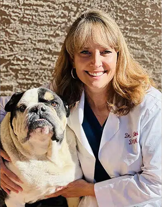 A smiling woman in a white lab coat poses next to a bulldog, gently holding the dog. They are outdoors in front of a textured wall.