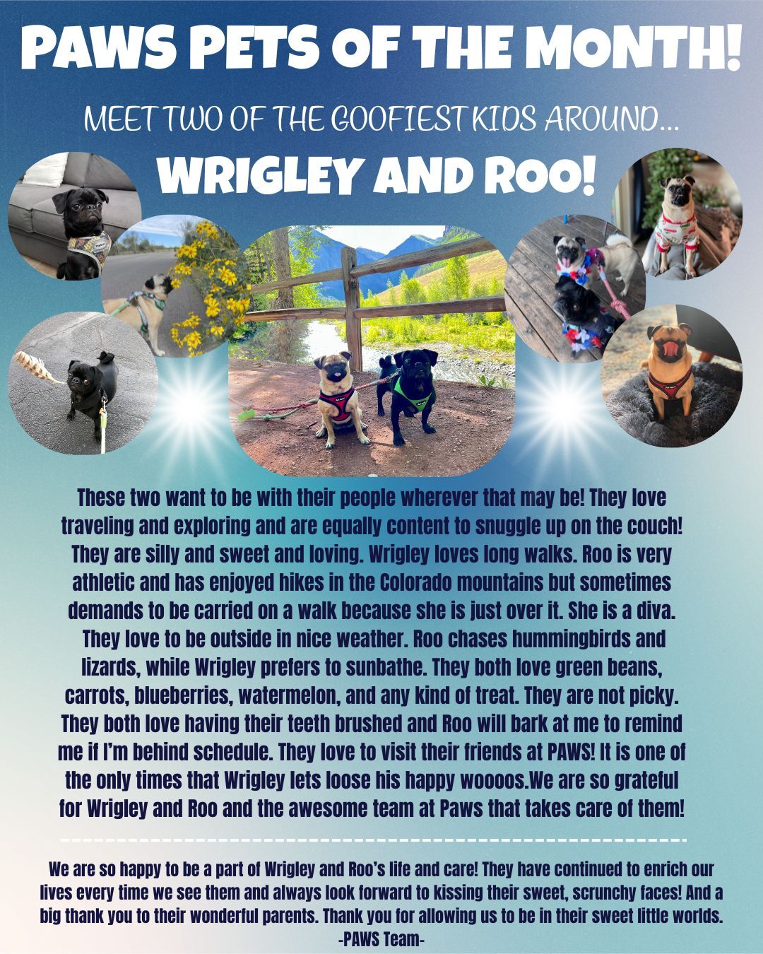 A "Pet of the Month" poster features Kayla, a black lab mix, with photos of her playing outside and with a toy. The text highlights her joyful nature and thanks her owners, Becky and Tony, for their care.