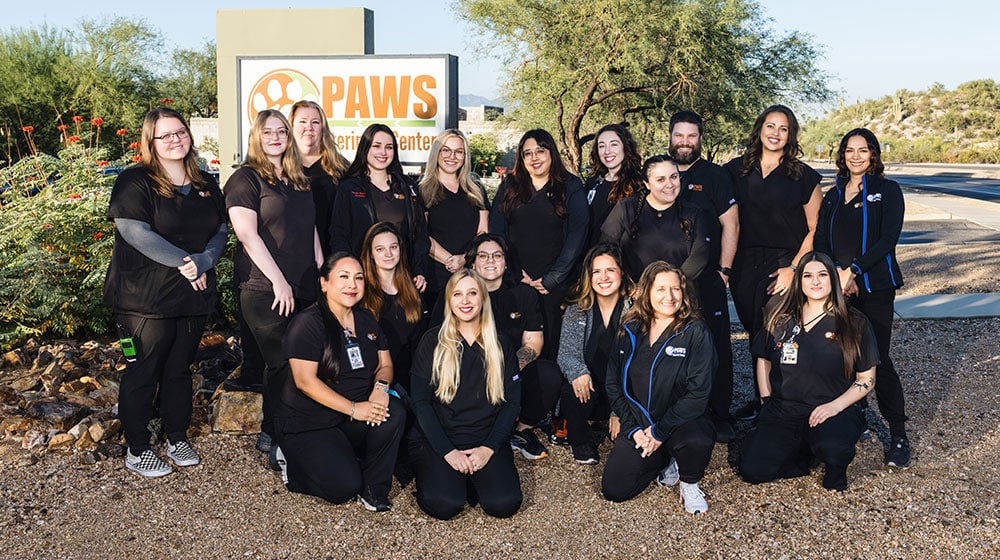 A group of sixteen people wearing black uniforms pose and smile together outdoors in front of a sign that reads "PAWS Veterinary Center," with desert plants and trees in the background.