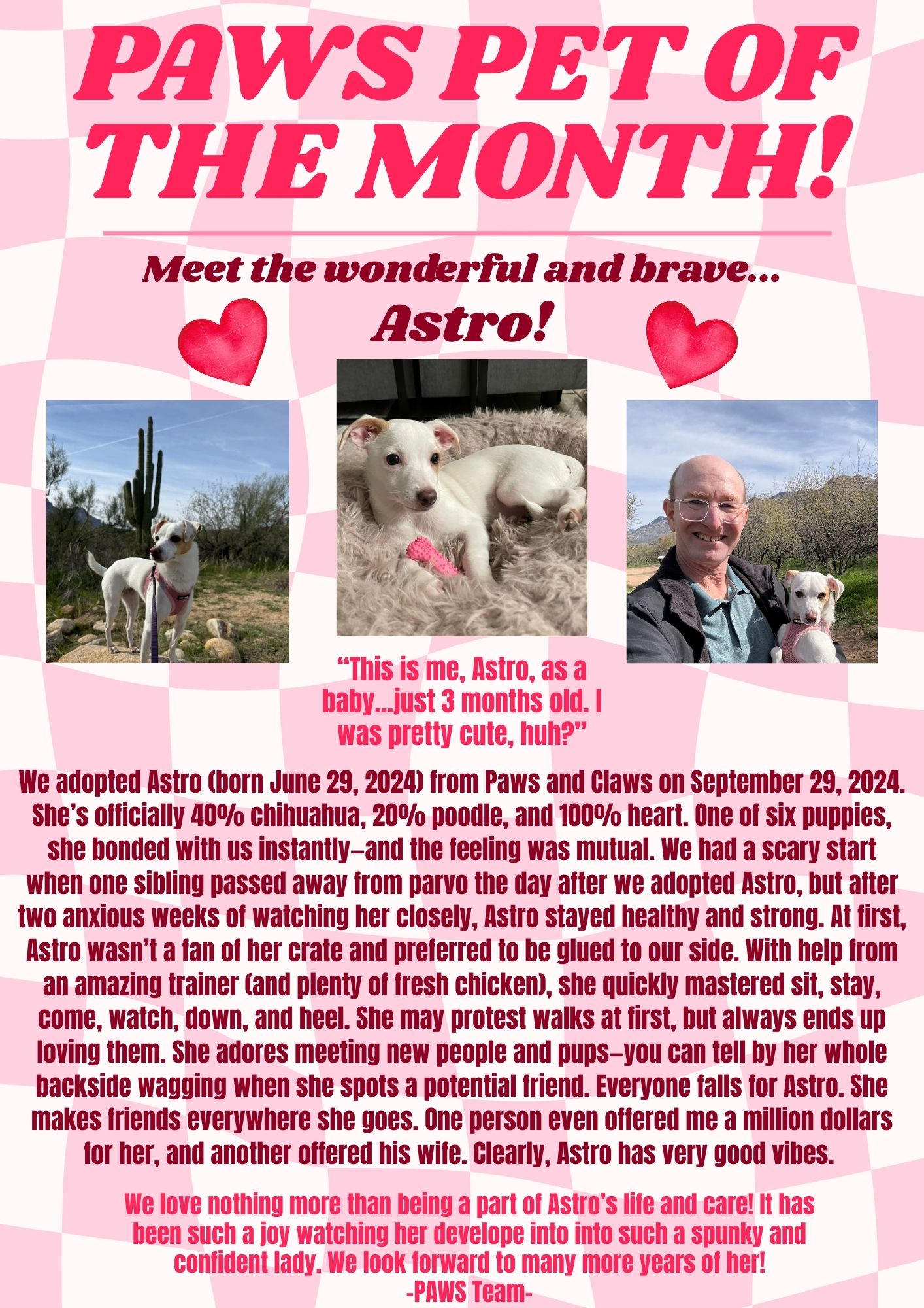 A colorful poster titled "Paws Pets of the Month!" features photos of two dogs, Drogo and Marshall, with playful Mario-themed decorations and a description of their loving, energetic personalities and bond as brothers.