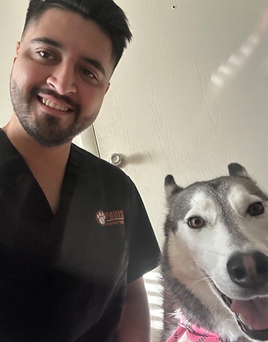 A man in dark scrubs smiles next to a happy Siberian Husky wearing a pink harness, with sunlight streaming onto them inside a room.