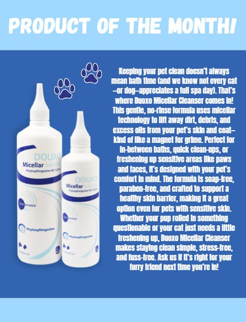 Two bottles of Douxo Micellar Cleanser for pets are shown on a blue background with a product description. White paw print icons and the heading