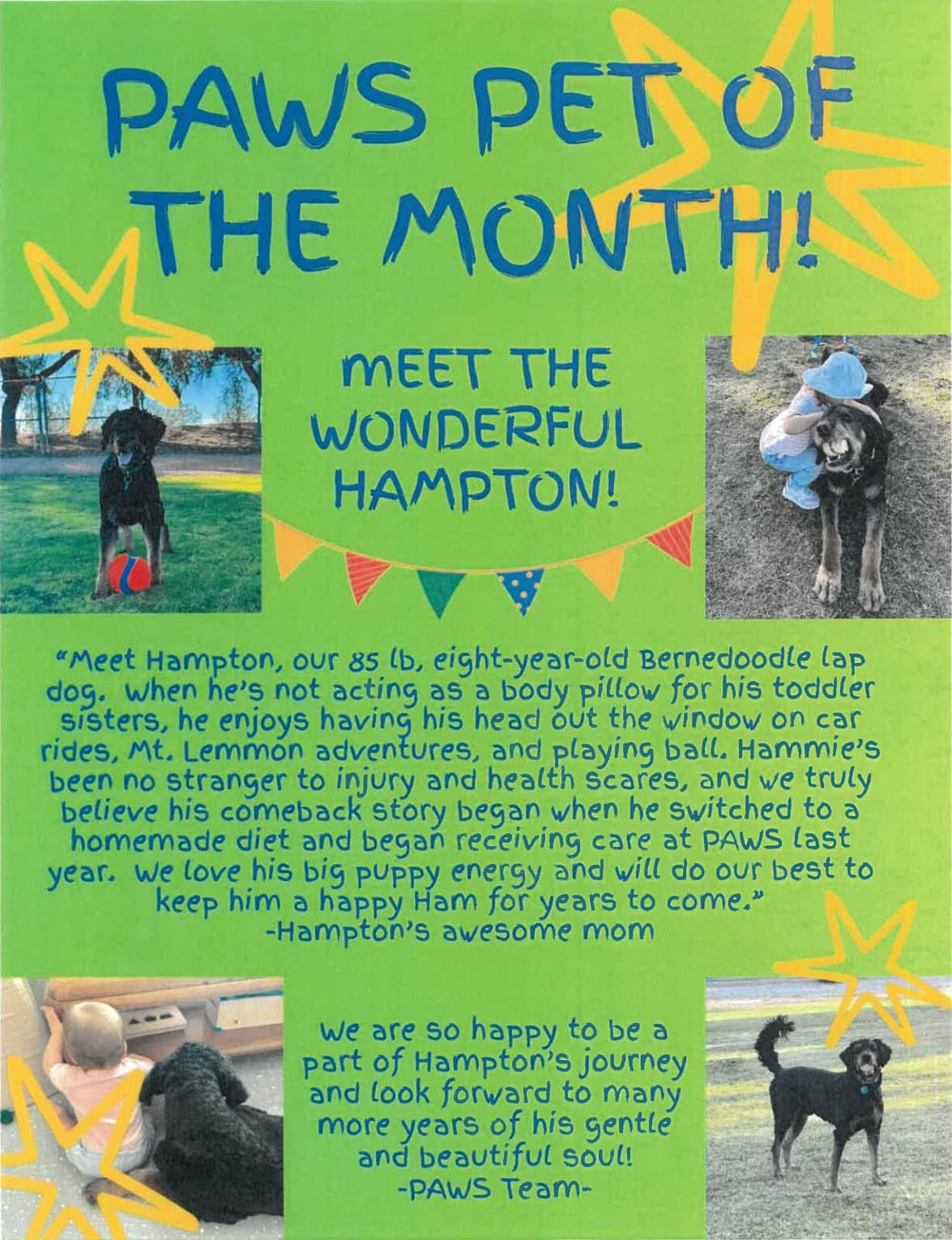 Colorful flyer with text about “Paws Pet of the Month.” Features photos of a black dog, Hampton, playing outdoors and being hugged. Bright stars decorate the flyer, and there are heartfelt messages about Hampton’s journey.