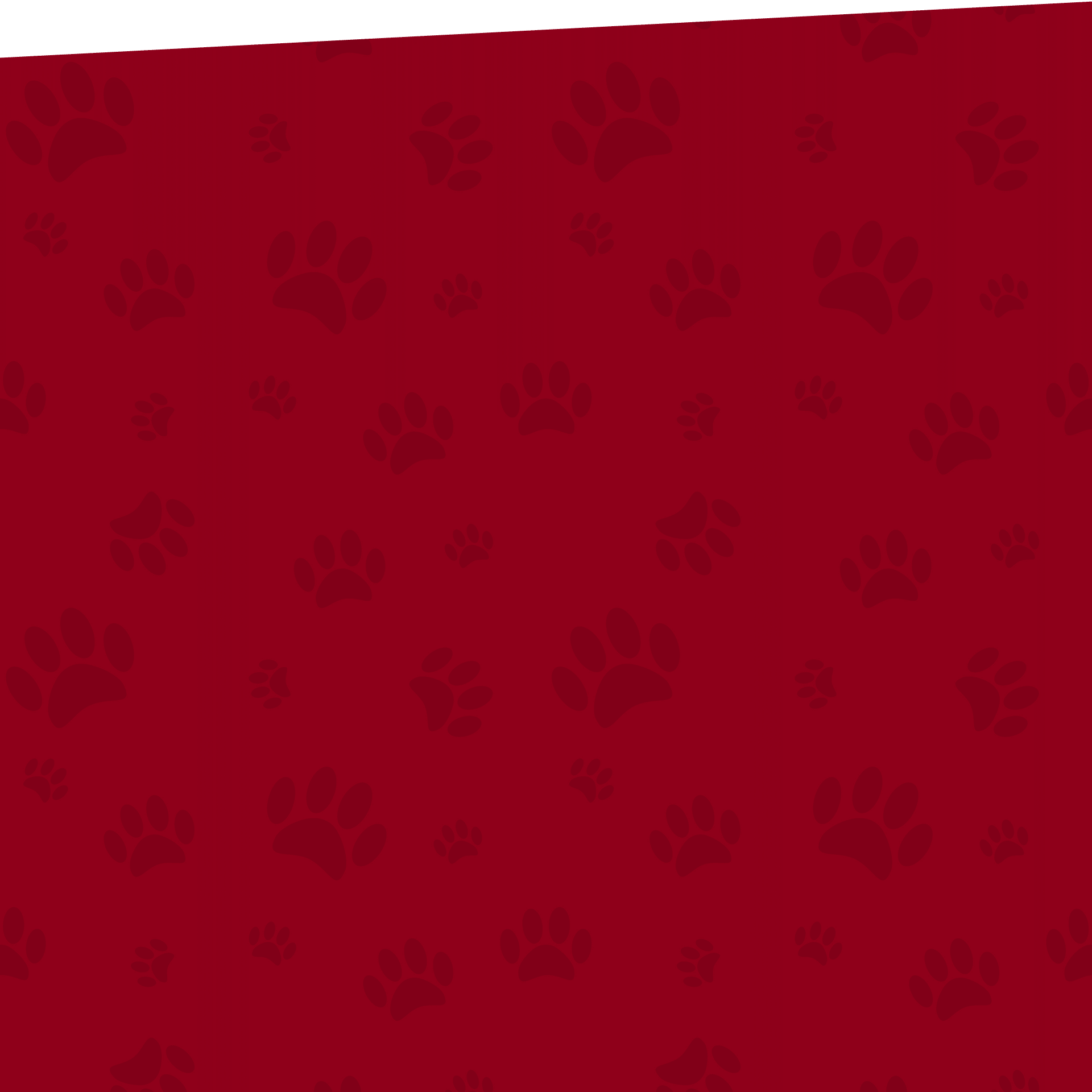 Red background with a subtle pattern of dark red paw prints creates a playful, animal-themed design. A narrow green band graces the top edge, adding a touch of contrast for a perfect backdrop in any veterinarian's office.